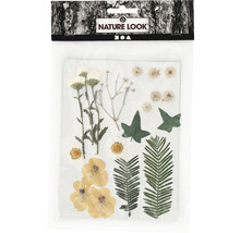 Emballage de fleurs séchées et de feuilles pour travaux manuels
