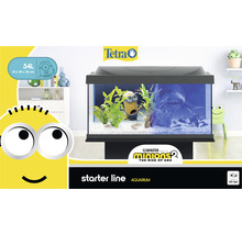 Aquarium Tetra Starter Line Minions 54 l avec éclairage LED, chauffage, nourriture, préparateur d'eau, film pour la paroi arrière 61 x 31 x 30,8 cm