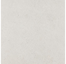 Feinsteinzeug Wand- und Bodenfliese Alpen Beige matt rektifiziert 60.0 x 60.0 x 1.0 cm
