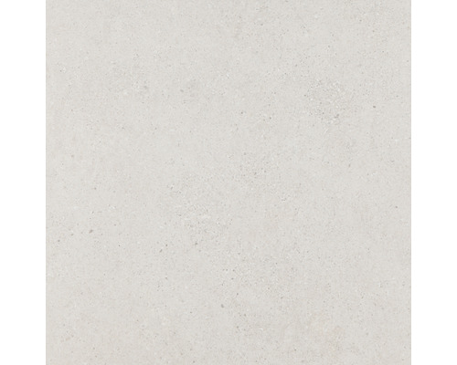Carrelage mur et sol en grès cérame fin Alpen 60 x 60 cm beige mat