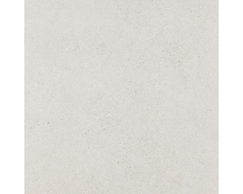 Carrelage mur et sol en grès cérame fin Alpen beige mat rectifié 60.0 x 60.0 x 1.0 cm Carrelage mur et sol en grès cérame fin Alpen beige mat rectifié 60.0 x 60.0 x 1.0 cm