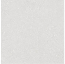 Feinsteinzeug Wand- und Bodenfliese Alpen Weiß matt rektifiziert 60.0 x 60.0 x 1.0 cm