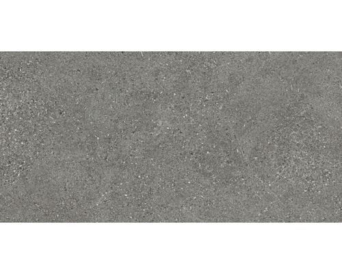 Carrelage mur et sol en grès cérame fin Alpen 30 x 60 cm gris mat