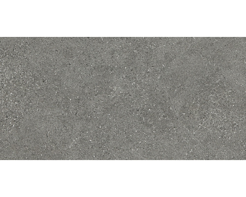 Carrelage mur et sol en grès cérame fin Alpen gris mat rectifié 30 x 60 x 1.0 cm Carrelage mur et sol en grès cérame fin Alpen gris mat rectifié 30 x 60 x 1.0 cm