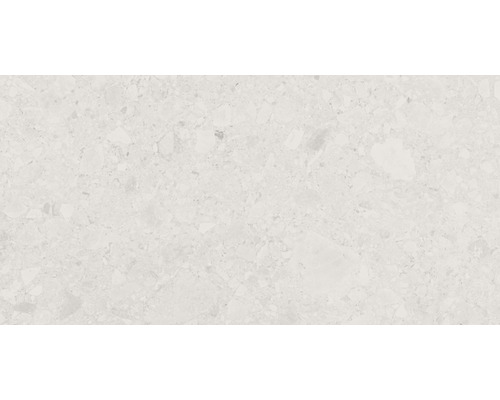 Carrelage sol et mur en grès cérame fin Terrazzo Donau 30 x 60 cm beige mat rectifié