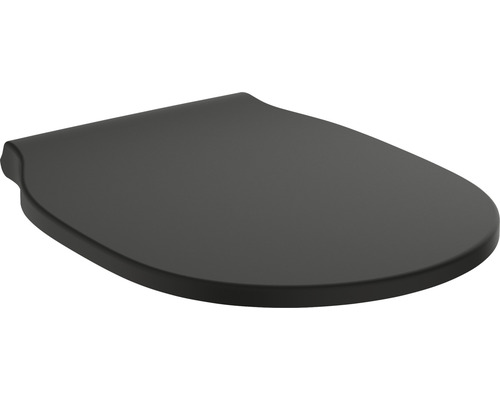 Toilettendeckel aus Kunststoff