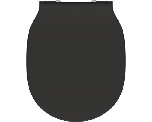 Toilettendeckel aus Kunststoff