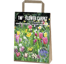 Bulbes de fleurs pour un mètre carré de parterre de fleurs dans un sac en papier