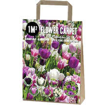Mélange de bulbes de fleurs pour un parterre de fleurs d''un mètre carré dans un sac en papier