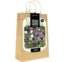 Bulbes de tulipes: Spring Green & Queen of Night; fritillaire: meleagris; anémone: The Bride 40 pièces