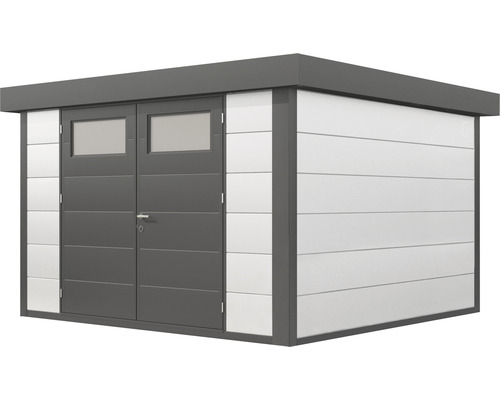 Abri de jardin avec double porte et fenêtres