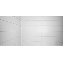 Innenwand-Paneel Classico 3663 lichtgrau