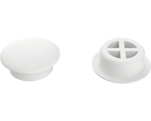 Zwei Möbelknöpfe aus Kunststoff