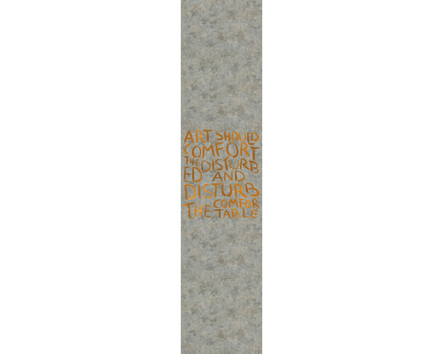 Papier peint panoramique intissé 33279 Natural Opulence by Felix Diener écriture gris orange 1 pce 70 x 330 cm