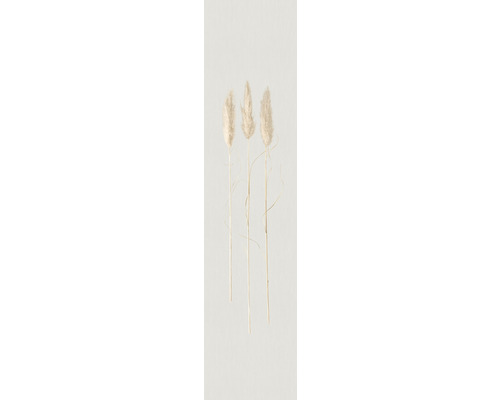 Papier peint panoramique intissé 33280 Natural Opulence by Felix Diener herbes gris beige 1 pce 70 x 330 cm
