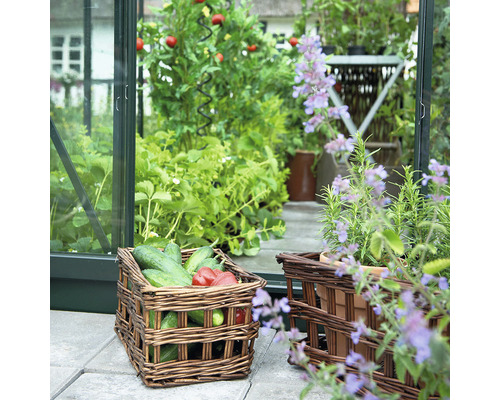 Scène avec un panier en osier rempli de concombres et de poivrons devant une serre.