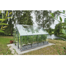 Serre dans le jardin avec des plantes