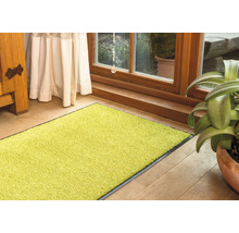Tapis de couloir vert dans l''entrée d''une maison.