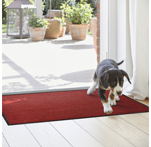 Tapis de propreté dans l''entrée avec chien