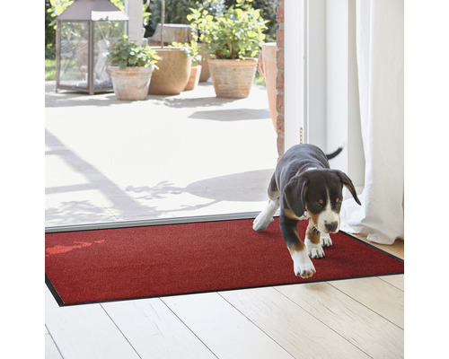 Tapis de propreté dans l''entrée avec chien