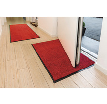 Entrée avec deux tapis de sol rouges à bordure noire sur parquet