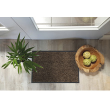 Vue de dessus: paillasson, plante d''intérieur et plateau décoratif dans l''entrée.