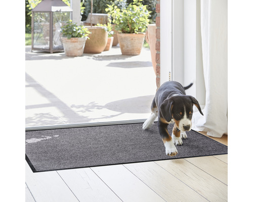Tapis de sol à l''entrée avec chien