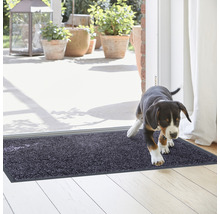 Tapis de sol devant une porte de terrasse avec un chien