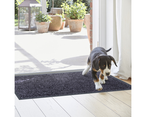Tapis de sol devant une porte de terrasse avec un chien