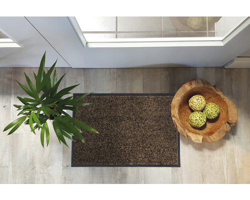 Espace d''entrée avec paillasson, plante et cuve en bois avec boules décoratives