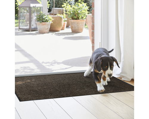 Paillasson dans l''entrée avec chien