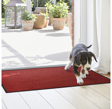 Paillasson rouge d''intérieur avec un chien