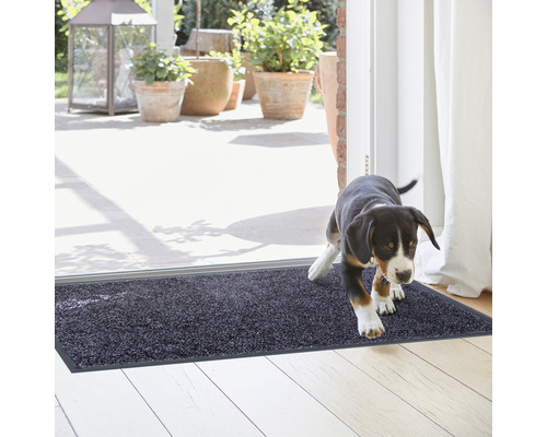 Schmutzfangmatte im Eingangsbereich mit Hund