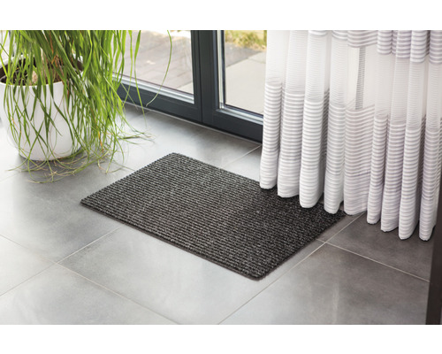 Paillasson gris devant une porte avec rideau et une plante d''intérieur.