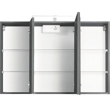 Spiegelschrank Held Möbel 100 x 20 x 66 cm dunkelgrau 3-türig 005