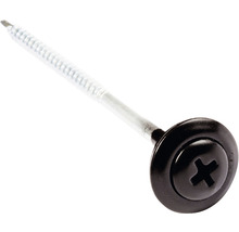 Isolierdübel mit Stahlnagel und Schraubenkopf