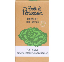 Prêt à Pousser Batavia-Salat Kapselpackung