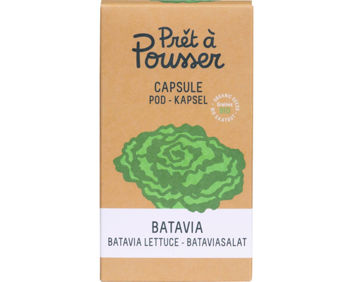 Batavia 'Prêt à pousser' Graines de légume Capsule pour pot de fleur smart mini jardin intérieur