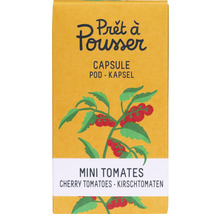 Capsule Prêt à Pousser Mini Tomates