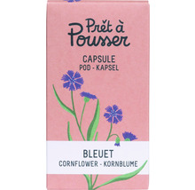 Prêt à Pousser capsule de bleuet