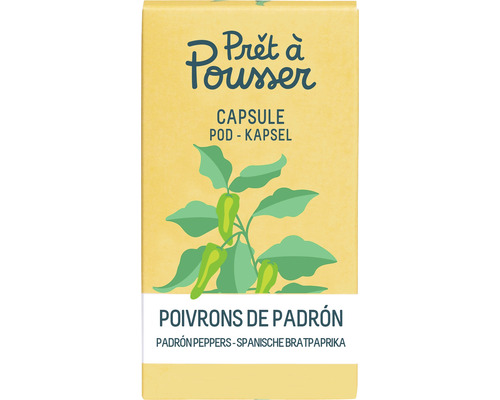 Pfefferoni ' Mini Pimientos de Padron ' Prêt à Pousser Gemüsesamen Kapsel für smarten Blumentopf Mini-Indoor Garten