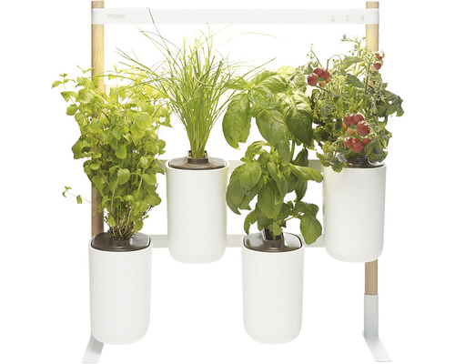 Jardin intérieur smart Prêt à Pousser Modulo 2 plastique blanc y compris 4 pots et 4 capsules
