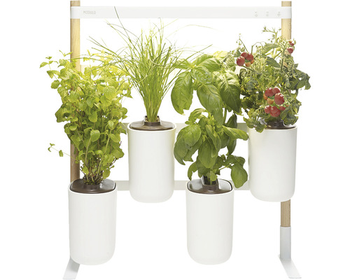 Jardinière Prêt à Pousser Lilo Classic plastique blanc y compris 3 pots et  3 capsules - HORNBACH Luxembourg