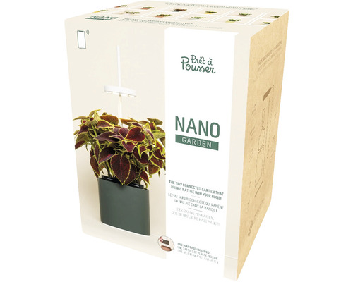 Pot de fleurs intelligent Prêt à Pousser Nano Forets Green plastique vert y compris capsule de graines de coleus