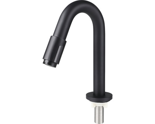 Robinet de cuisine noir avec bec pivotant
