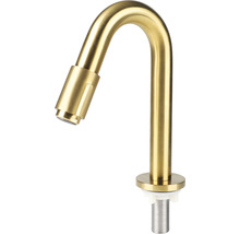 Robinet d'eau froide Differnz or mat 30.416.34