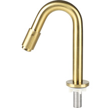 Robinet d'eau froide Differnz or mat 30.416.34
