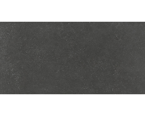 Carrelage mur et sol en grès cérame fin Alpen 30 x 60 cm graphite mat