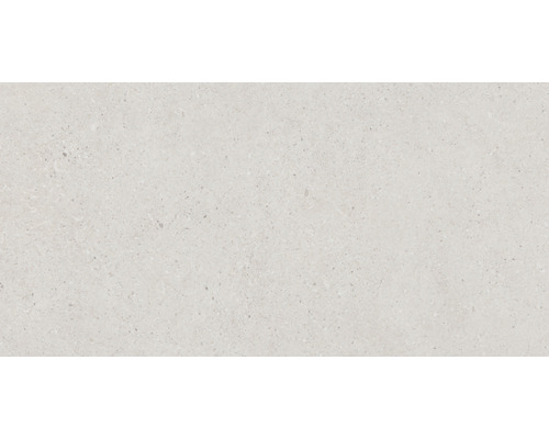 Carrelage pour sol et mur en grès cérame fin Alpen beige mat 30 x 60 cm rectifié