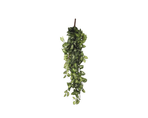Plante artificielle Fittonia hauteur 15 cm, vert